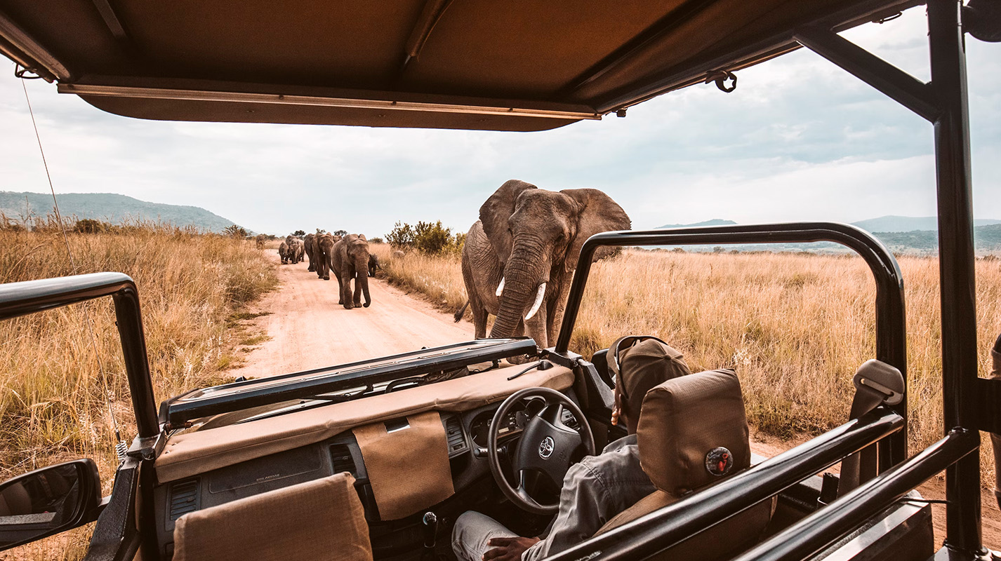 African Safari 101: What to Pack (And What to Leave Behind)